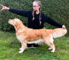 Bailey